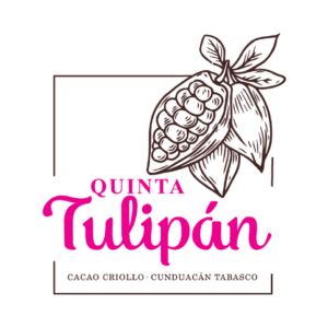 quintatulipan